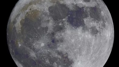 neven-krcmarek-9dTg44Qhx1Q-unsplash