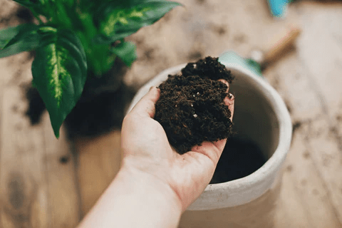 Knowing Your Soil Type