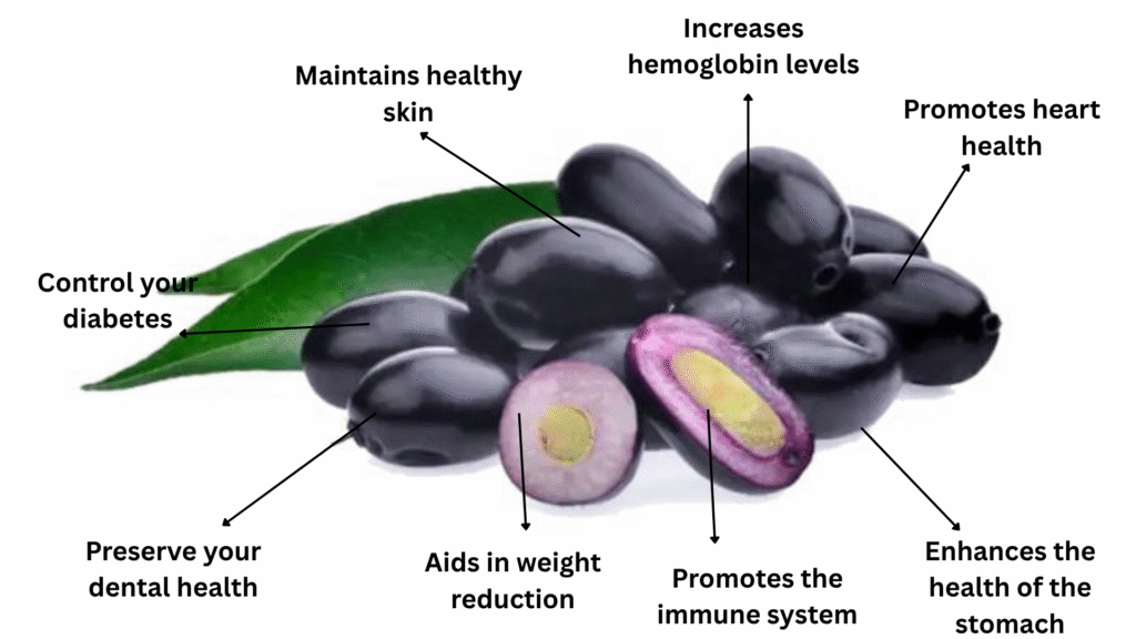 jamun benefits